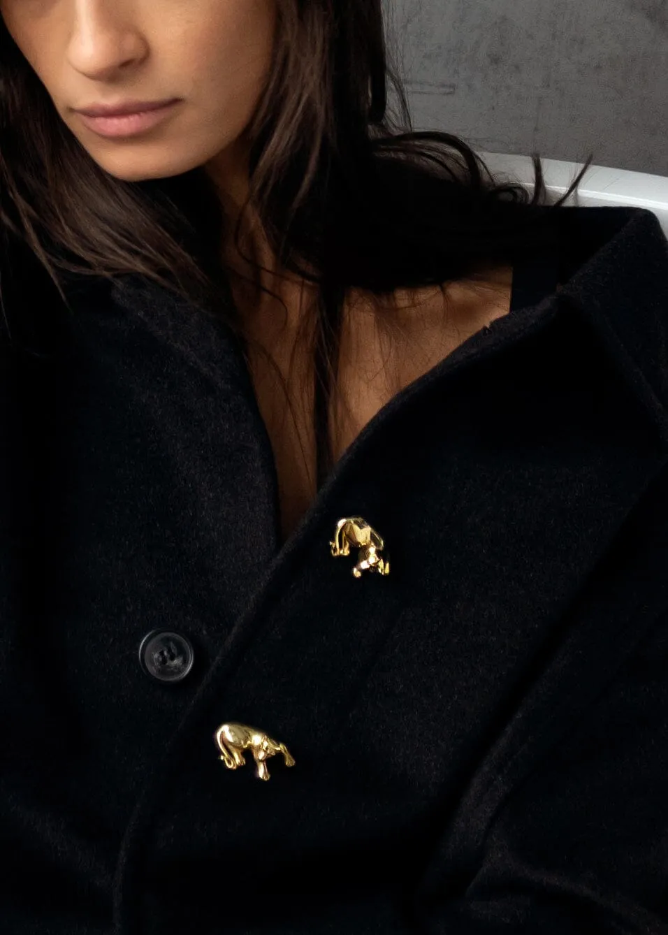 Lioness Brooch